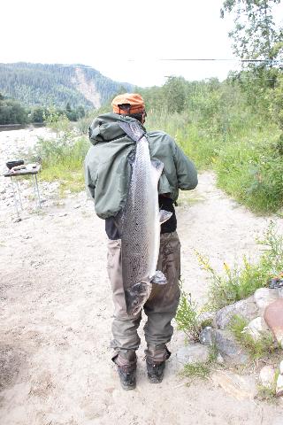 Ryggtavlan på Kent Niklasson och en lax på 9,6 kg
