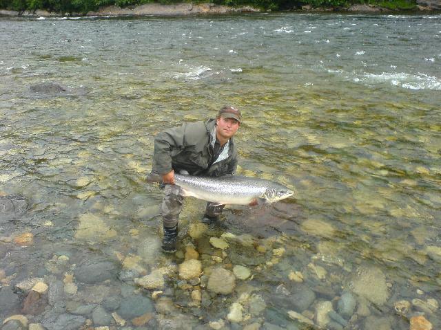 lax hona på 123 cm vikt ca 20 kg, återutsatt!!