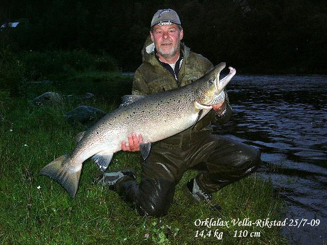 Orklalax på 14,4 kg och 110 cm tagen på Vella-Rikstad valdet den 25/7-09 av Stefan Möller.
