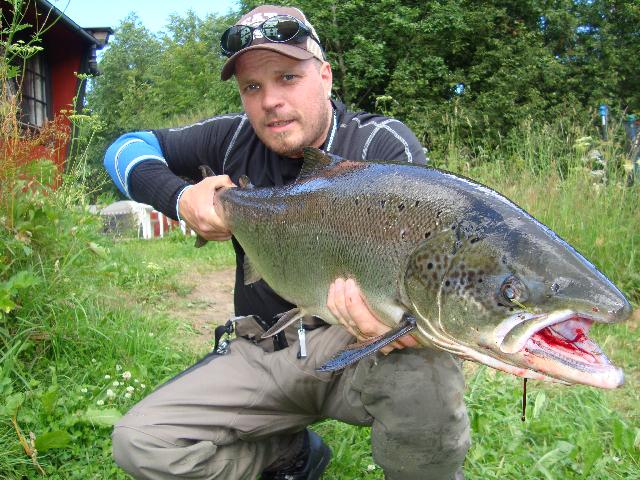 9,1 kg Gaula lax. Mogge Holmsten